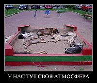 У НАС ТУТ СВОЯ АТМОСФЕРА 