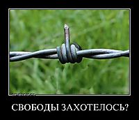 СВОБОДЫ ЗАХОТЕЛОСЬ? 