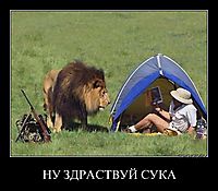 НУ ЗДРАСТВУЙ СУКА 