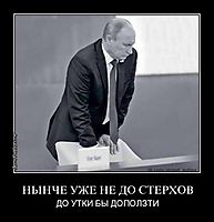 НЫНЧЕ УЖЕ НЕ ДО СТЕРХОВ ДО УТКИ БЫ ДОПОЛЗТИ