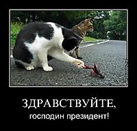 ЗДРАВСТВУЙТЕ, господин президент!