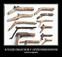 В ХОДЕ ОБЫСКОВ У ОППОЗИЦОНЕРОВ изъято оружие