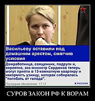 СУРОВ ЗАКОН РФ К ВОРАМ 