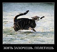 ЖИТЬ ЗАХОЧЕШЬ, ПОЛЕТИШЬ 
