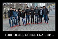ГОВНОЕДЫ, ОСЛОВ ЕБАВШИЕ 