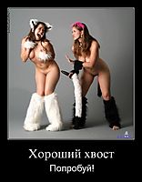 Хороший хвост Попробуй!