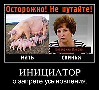 ИНИЦИАТОР о запрете усыновления.