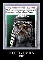 КОТЭ - СИЛА