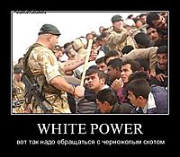 WHITE POWER вот так надо обращаться с черножопым скотом
