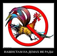 НАШИСТАМ НА ДЕМАХ НЕ РАДЫ 