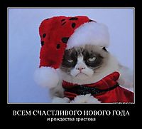 ВСЕМ СЧАСТЛИВОГО НОВОГО ГОДА и рождества христова