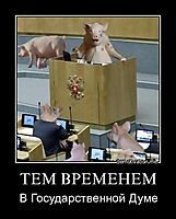 ТЕМ ВРЕМЕНЕМ В Государственной Думе