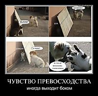 ЧУВСТВО ПРЕВОСХОДСТВА иногда выходит боком
