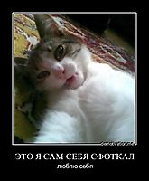 ЭТО Я САМ СЕБЯ СФОТКАЛ люблю себя