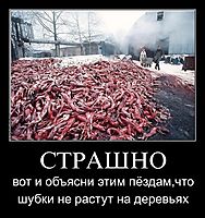 СТРАШНО вот и объясни этим пёздам,что шубки не растут на деревьях
