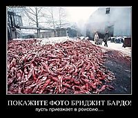 ПОКАЖИТЕ ФОТО БРИДЖИТ БАРДО! пусть приезжает в роиссию....