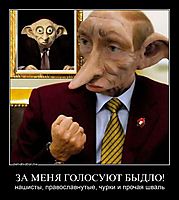 ЗА МЕНЯ ГОЛОСУЮТ БЫДЛО! нашисты, православнутые, чурки и прочая шваль
