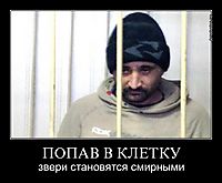 ПОПАВ В КЛЕТКУ звери становятся смирными