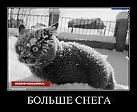 БОЛЬШЕ СНЕГА 