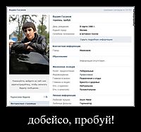 добейсо, пробуй!