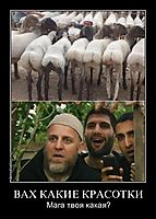 ВАХ КАКИЕ КРАСОТКИ