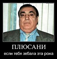 ПЛЮСАНИ если тебя зебала эта рожа