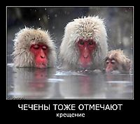ЧЕЧЕНЫ ТОЖЕ ОТМЕЧАЮТ крещение