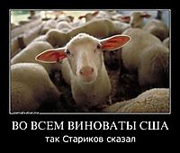 ВО ВСЕМ ВИНОВАТЫ США так Стариков сказал