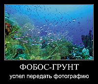 ФОБОС-ГРУНТ успел передать фотографию