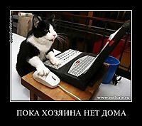 ПОКА ХОЗЯИНА НЕТ ДОМА 