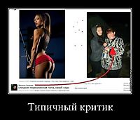 Типичный критик 