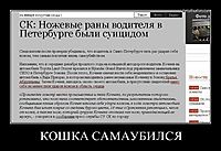 КОШКА САМАУБИЛСЯ 