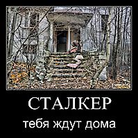 СТАЛКЕР тебя ждут дома