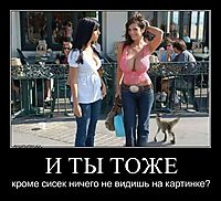 И ТЫ ТОЖЕ кроме сисек ничего не видишь на картинке?