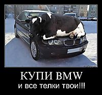 КУПИ BMW и все телки твои!!!