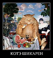 КОТЭ ШИКАРЕН 
