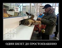 ОДИН БИЛЕТ ДО ПРОСТОКВАШИНО 