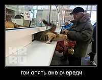 гои опять вне очереди 