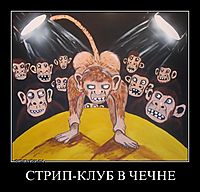 СТРИП-КЛУБ В ЧЕЧНЕ 