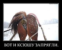 ВОТ И КСЮШУ ЗАПРЯГЛИ. 