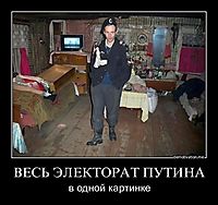 ВЕСЬ ЭЛЕКТОРАТ ПУТИНА в одной картинке