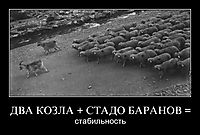 ДВА КОЗЛА + СТАДО БАРАНОВ = стабильность
