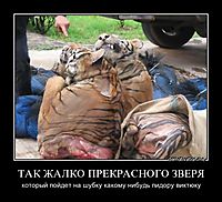 ТАК ЖАЛКО ПРЕКРАСНОГО ЗВЕРЯ который пойдет на шубку какому нибудь пидору виктюку