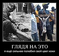ГЛЯДЯ НА ЭТО я ещё сильнее полюбил свой цвет кожи