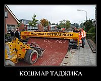 КОШМАР ТАДЖИКА 