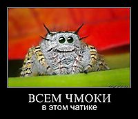ВСЕМ ЧМОКИ в этом чатике