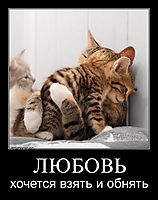 ЛЮБОВЬ хочется взять и обнять