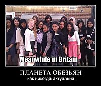 ПЛАНЕТА ОБЕЗЬЯН как никогда актуальна