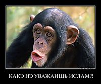 КАКЭ НЭ УВАЖАИЩЬ ИСЛАМ?! 