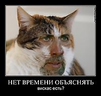 НЕТ ВРЕМЕНИ ОБЪЯСНЯТЬ вискас есть?